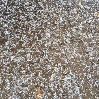 Small But Mighty - This size hail will still cause damage to your property. 